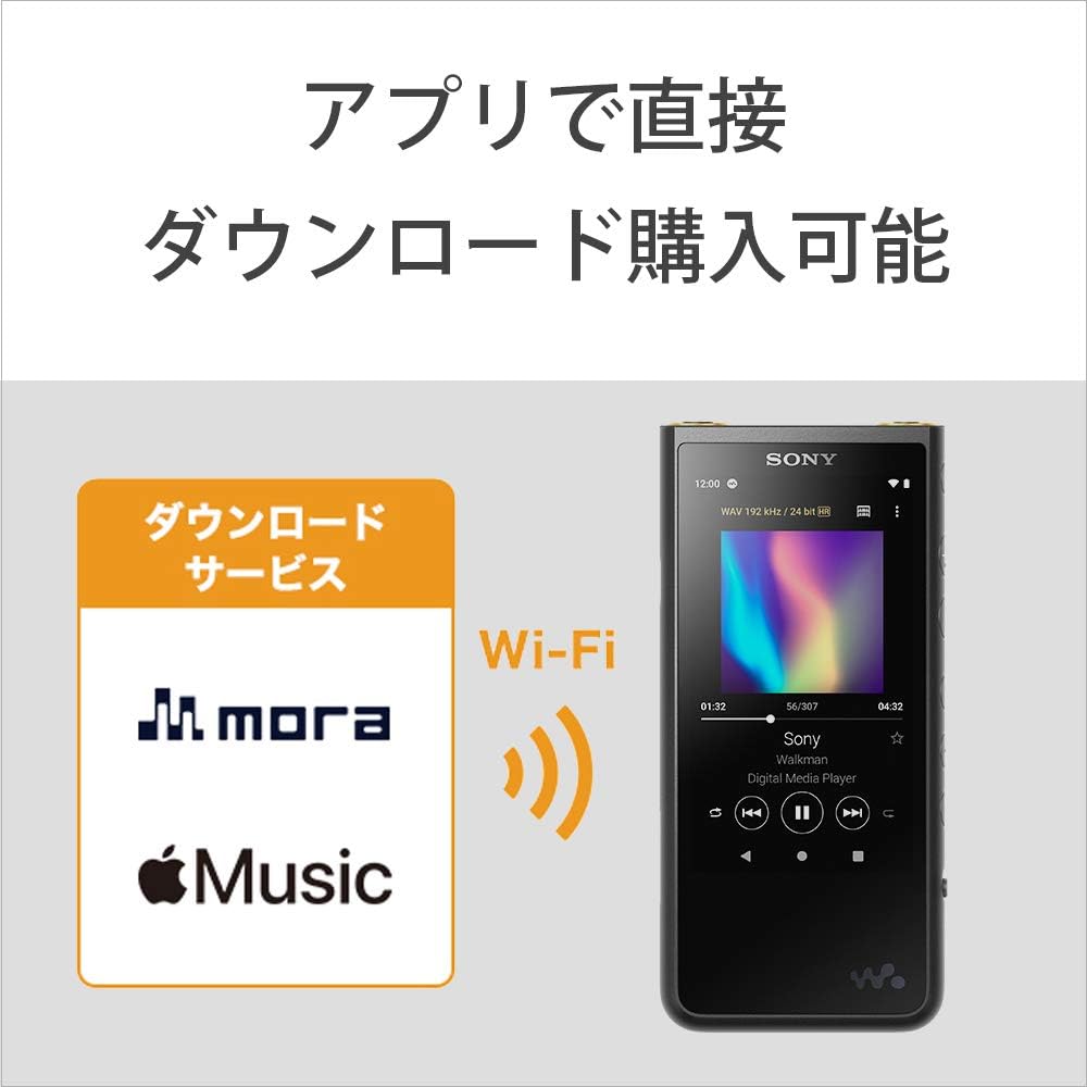 ソニー ウォークマン 64GB ZXシリーズ NW-ZX507 : ハイレゾ対応 設計